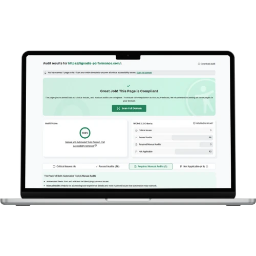 Laptop mit Audit-Ergebnis einer Website, die zu 100 % WCAG 2.2 konform ist.